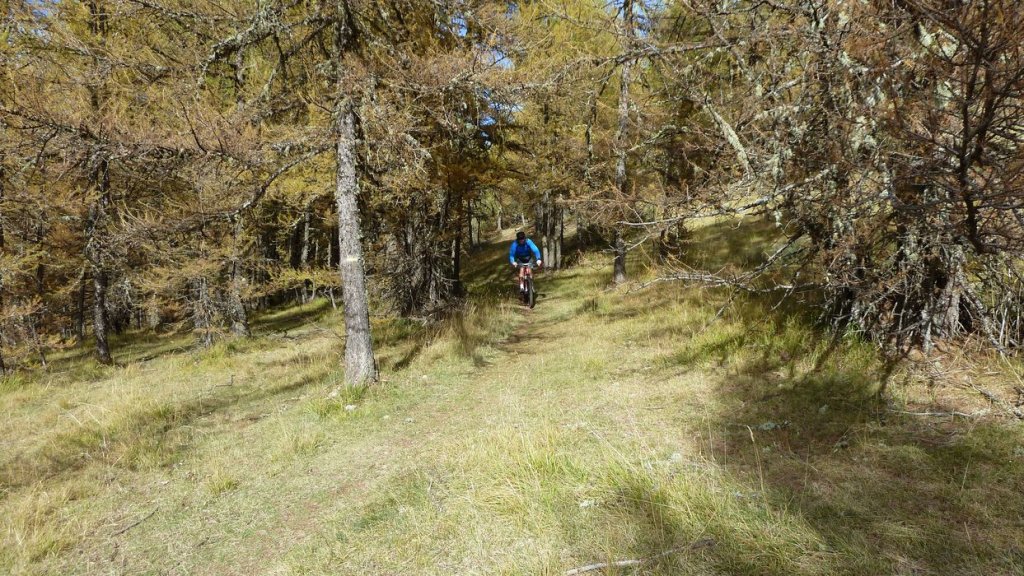 pasquier_oct_2013_132.jpg