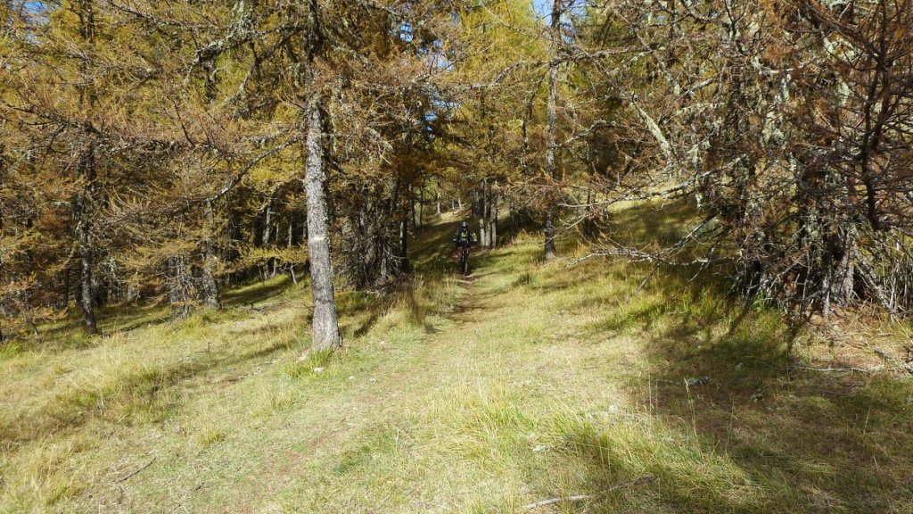 pasquier_oct_2013_134.jpg
