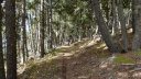 pasquier_oct_2013_080.jpg