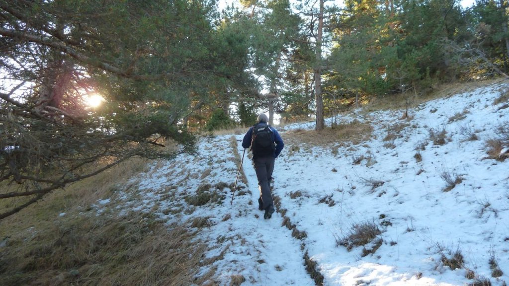lachen_dec_2016_025.JPG
