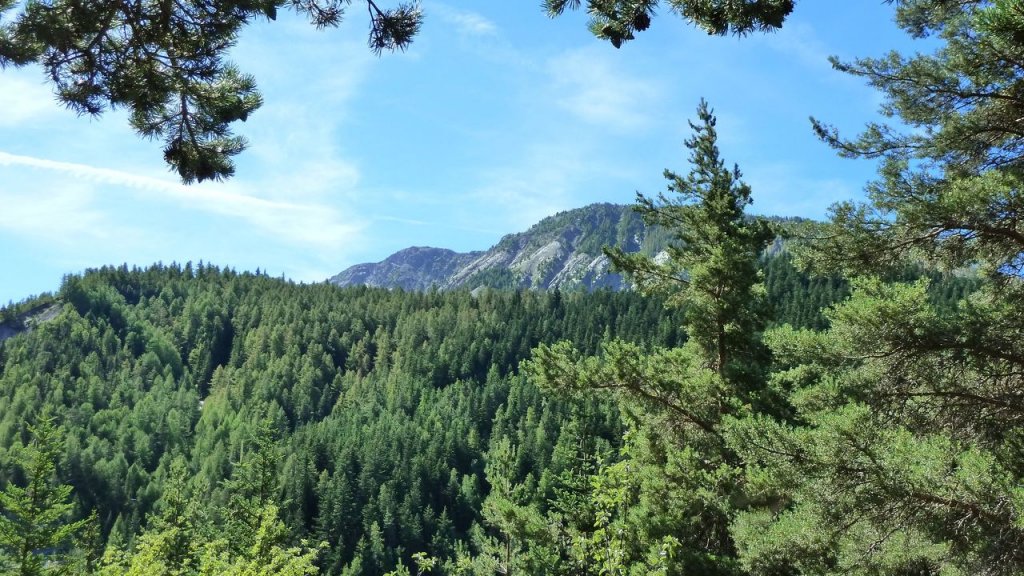 cabane_neuve_aout_2016_065.JPG