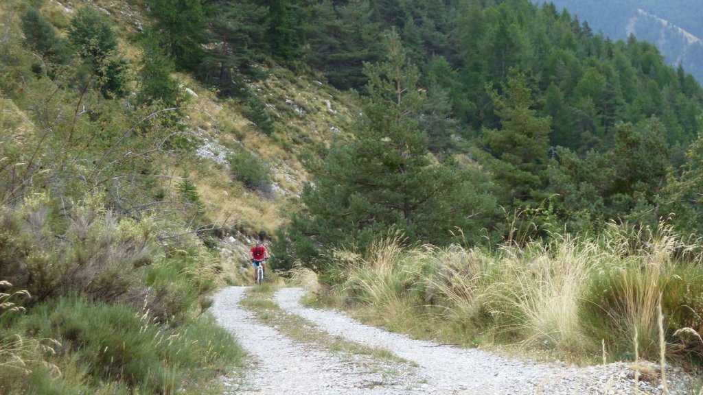 cabane_orgeas_aout_2015_031.JPG