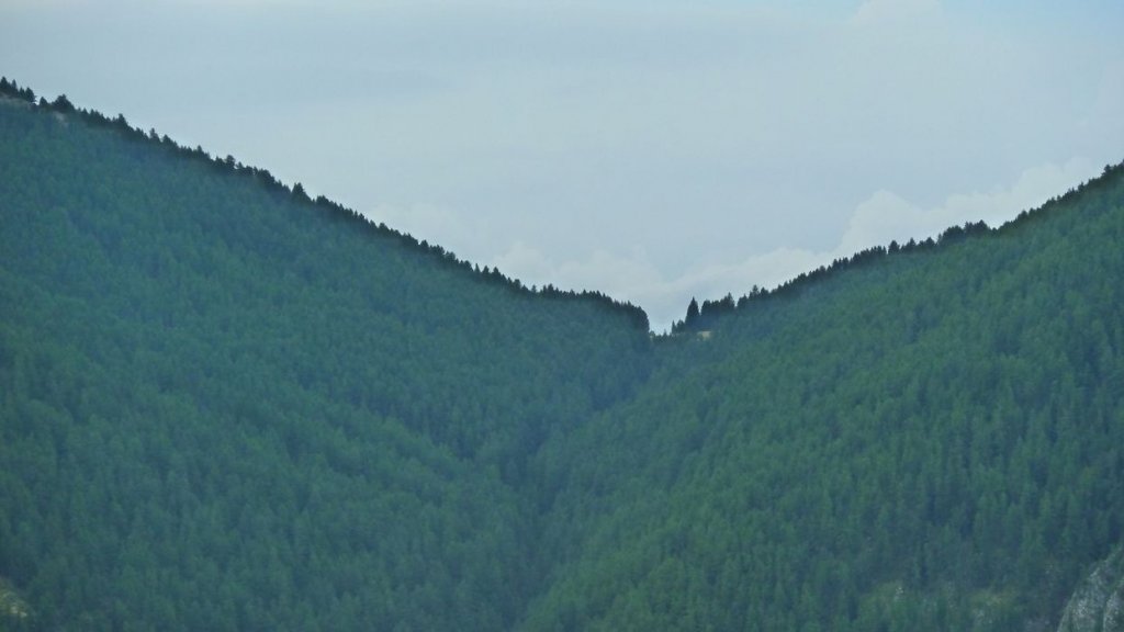 cabane_orgeas_aout_2015_037.JPG