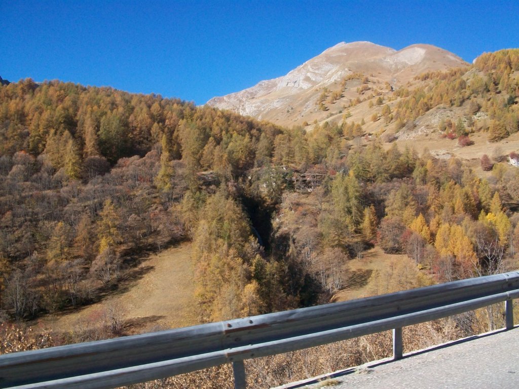 100_7104.JPG