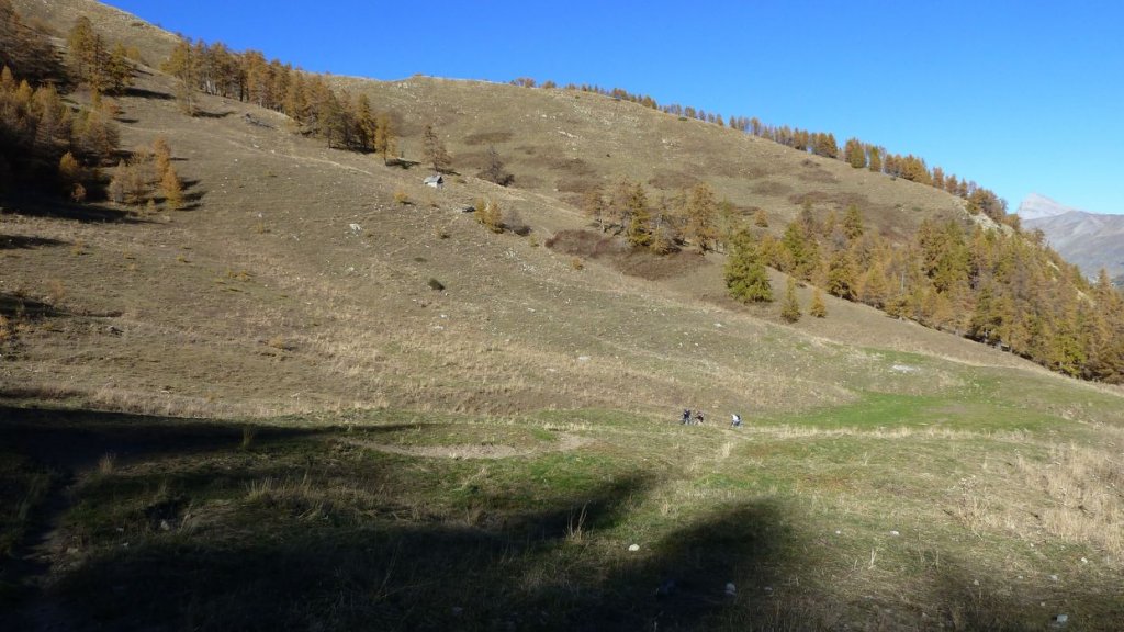 P1100663.JPG