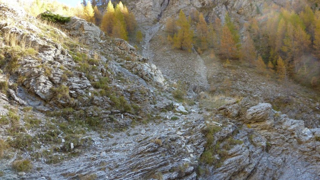 P1100743.JPG