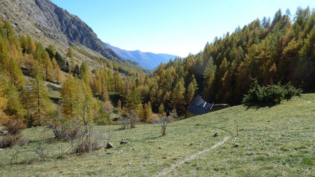 P1100748.JPG