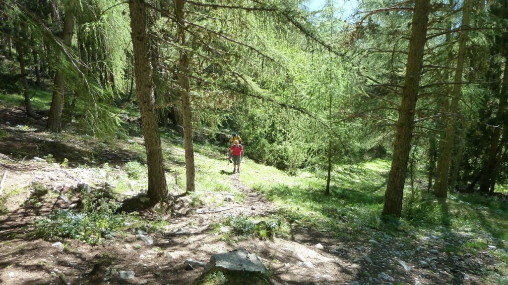cabane_sallanches_2013_114.jpg
