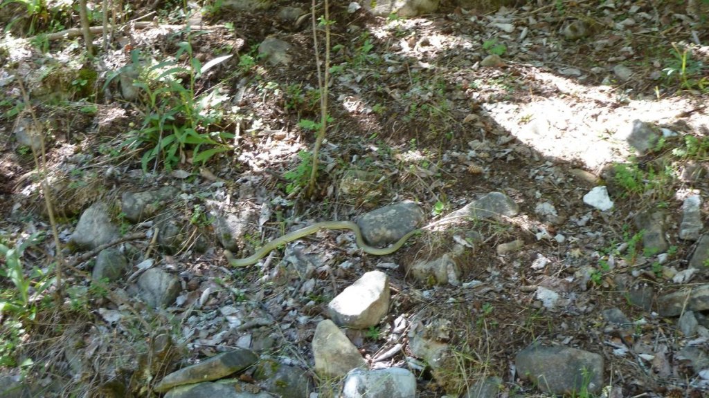 cabane_sallanches_2013_172.jpg