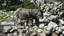 cabane_sallanches_2013_170.jpg