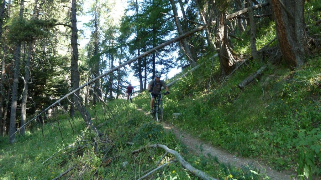 cabanes__de_congerman_aout_2012_094.jpg