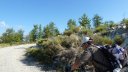 cabanes__de_congerman_aout_2012_028.jpg