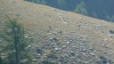 cabanes__de_congerman_aout_2012_038.jpg