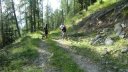 cabanes_du_puy_2013_28.jpg