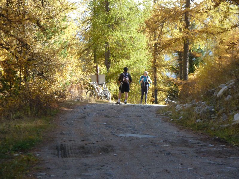cabanes_croix_puy_2011_017.jpg