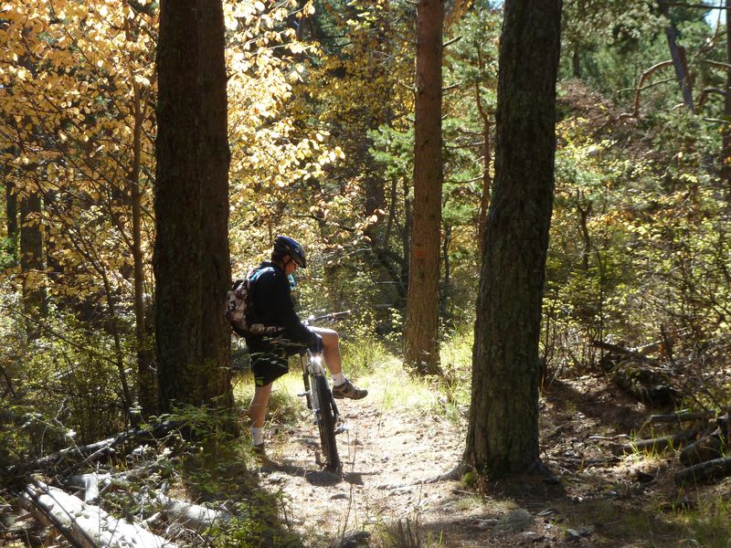 cabanes_croix_puy_2011_055.jpg