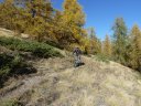 cabanes_croix_puy_2011_033.jpg