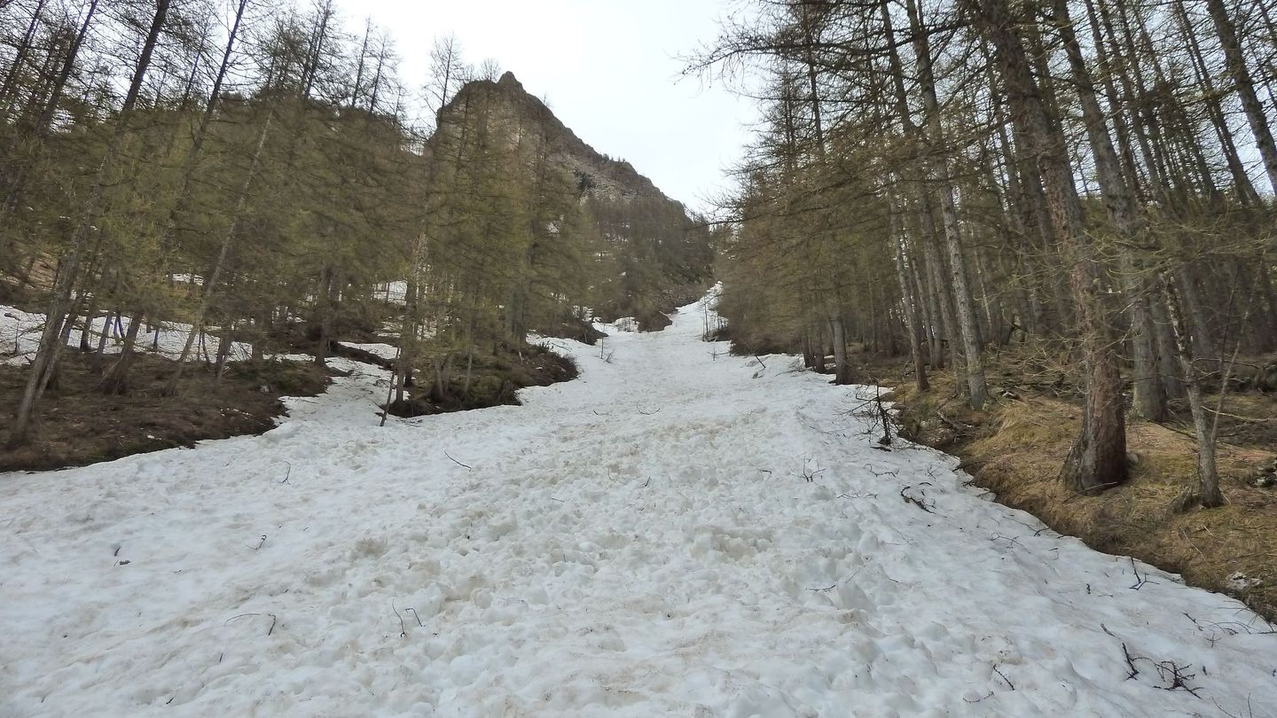cabanes_talon_avril_2018_023.JPG