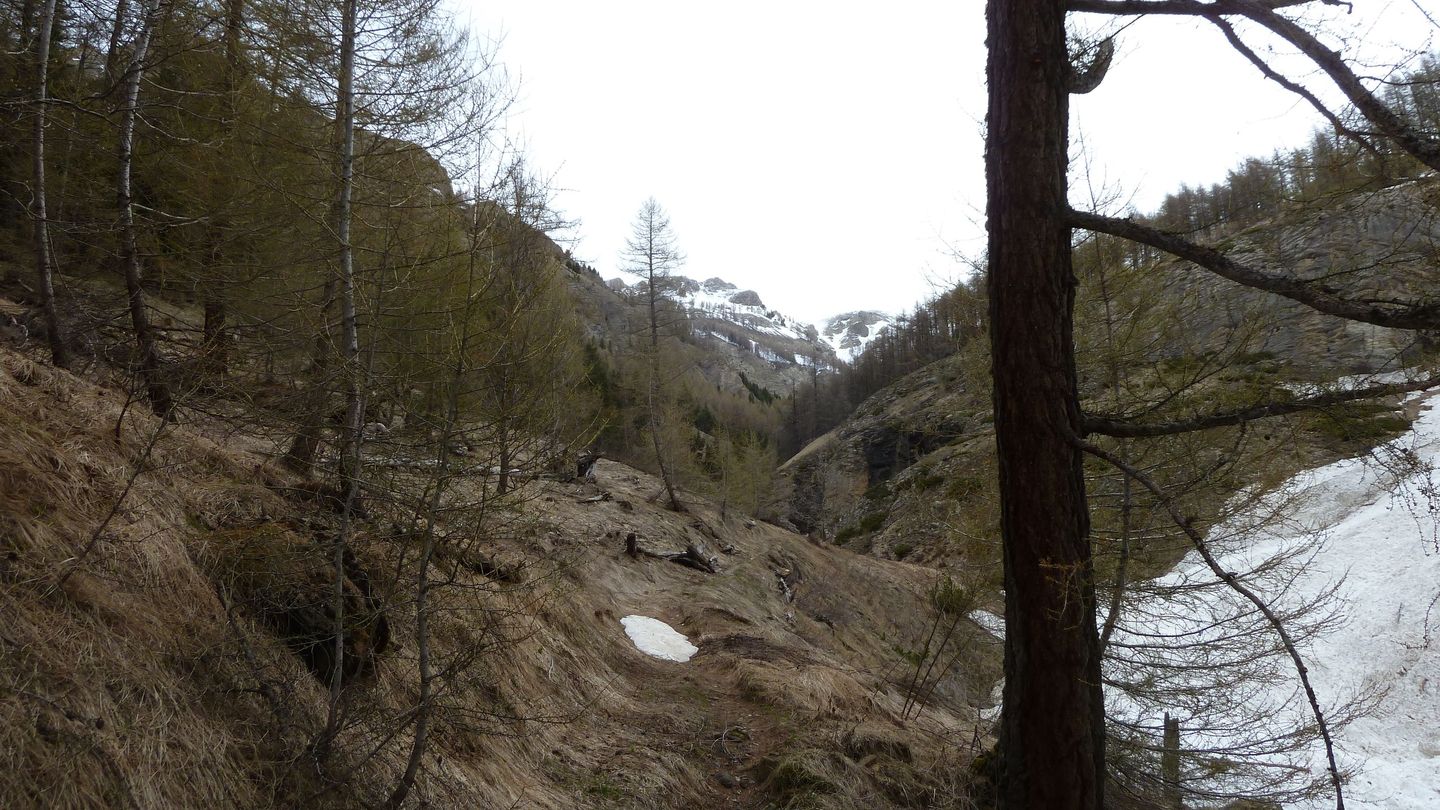 cabanes_talon_avril_2018_057.JPG