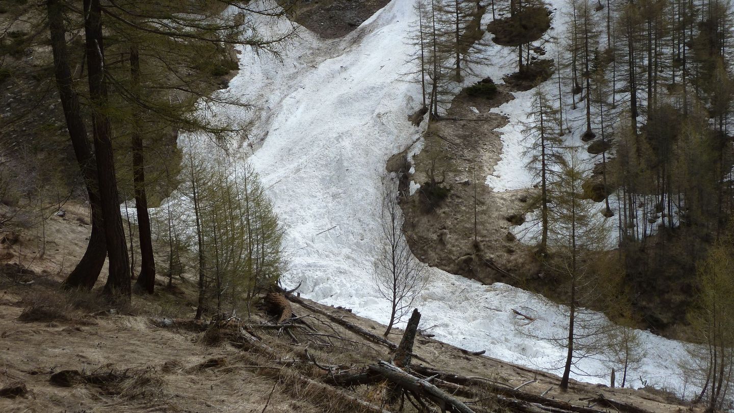 cabanes_talon_avril_2018_087.JPG