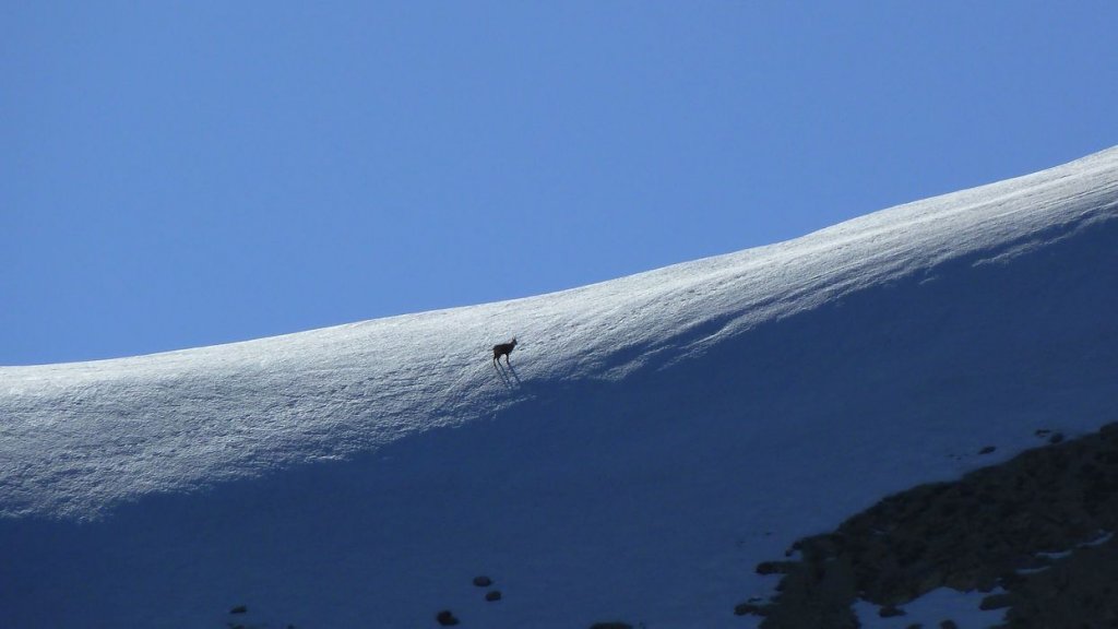 P1110597.JPG