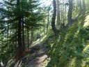 cordoeil_camping_2011_008.jpg