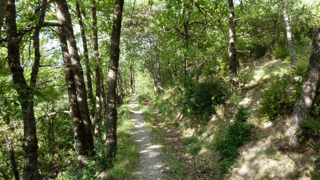 canal_adroit_aout_2016_039.JPG