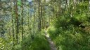 canal_adroit_aout_2016_019.JPG