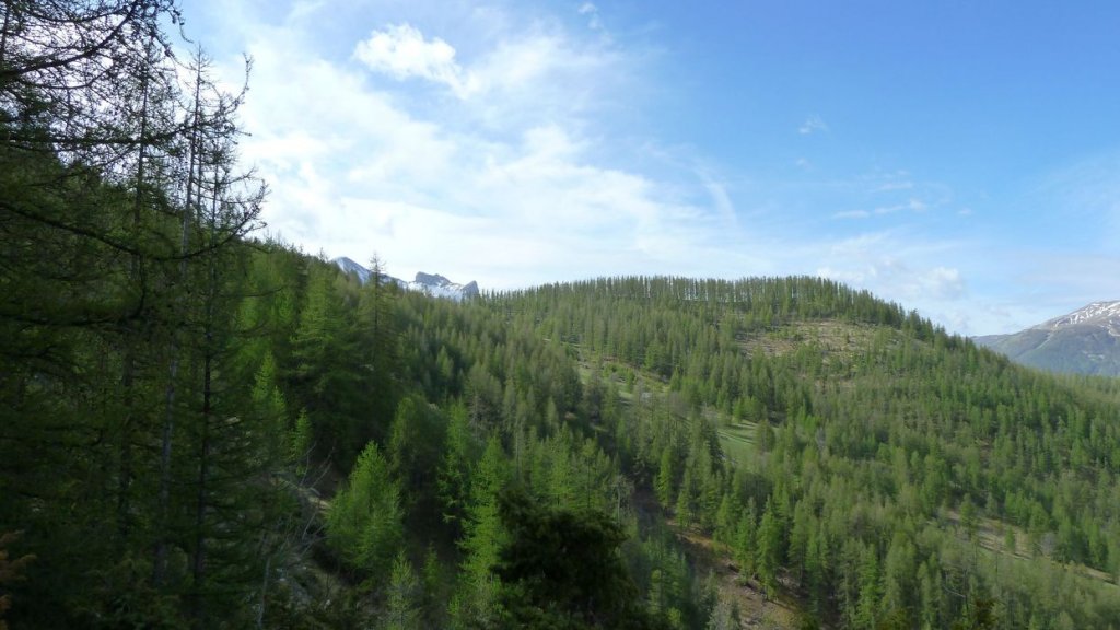 P1110579.JPG