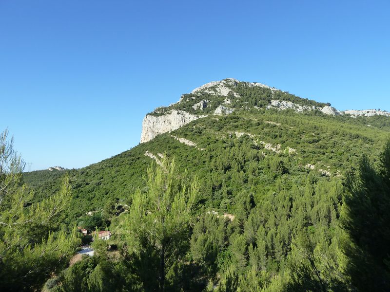 caume_baou_juin_2011_003.JPG