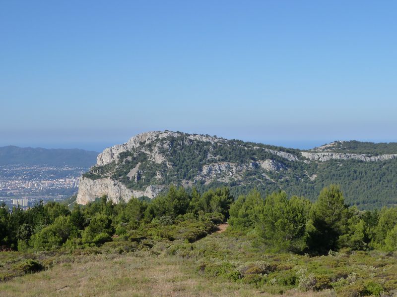 caume_baou_juin_2011_005.JPG