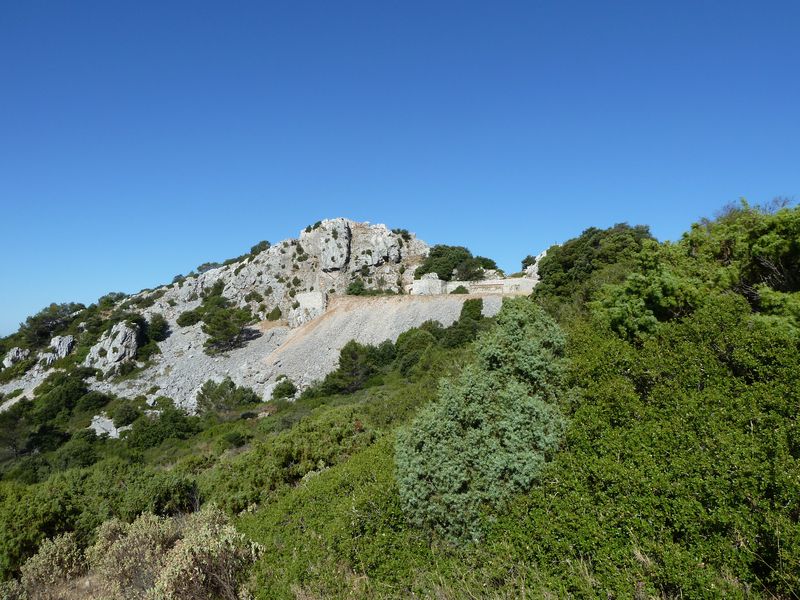 caume_baou_juin_2011_012.JPG