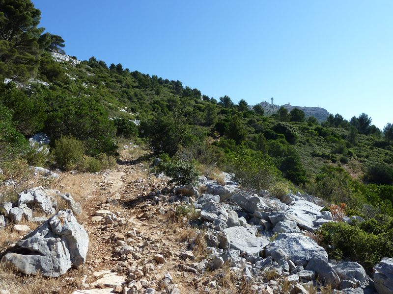 caume_baou_juin_2011_015.JPG