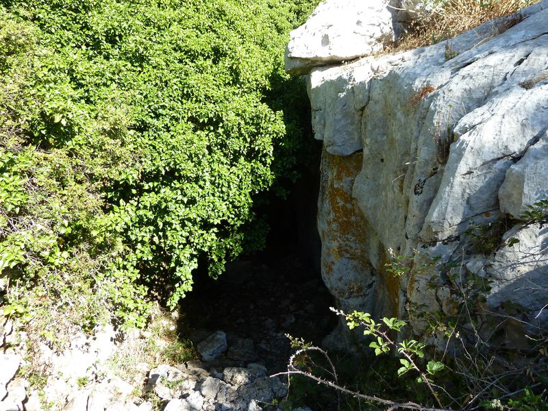 caume_baou_juin_2011_018.JPG