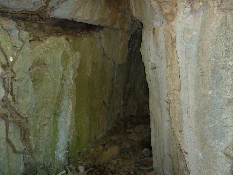 caume_baou_juin_2011_019.JPG