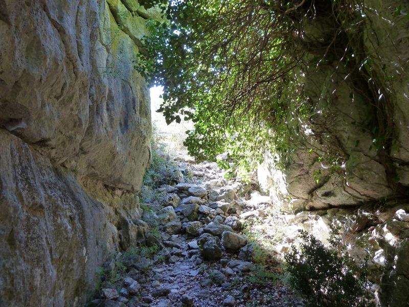 caume_baou_juin_2011_020.JPG