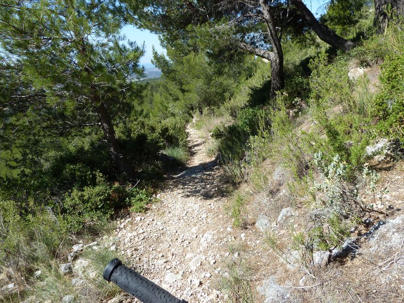 caume_baou_juin_2011_026.JPG