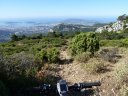 caume_baou_juin_2011_013.JPG