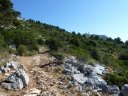 caume_baou_juin_2011_015.JPG