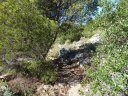 caume_baou_juin_2011_016.JPG