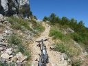 caume_baou_juin_2011_023.JPG
