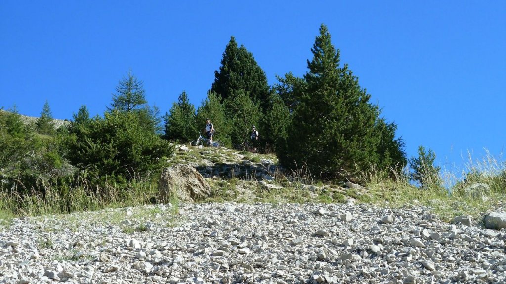 chalufy_2013_038.jpg