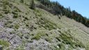 chalufy_2013_138.jpg