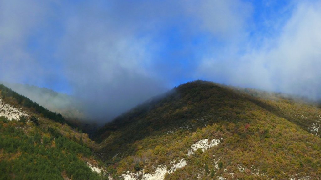 P1080417.JPG