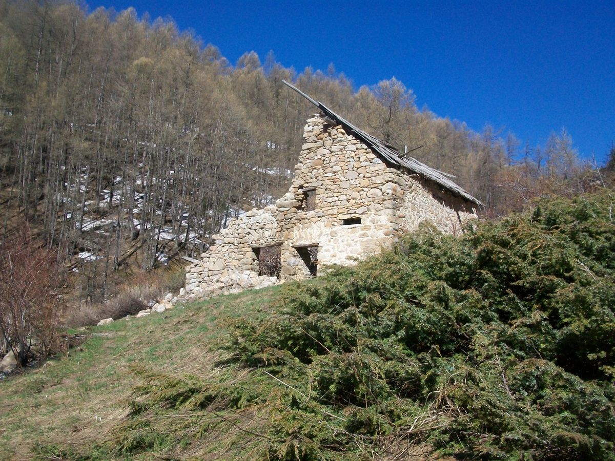 100_8274.JPG