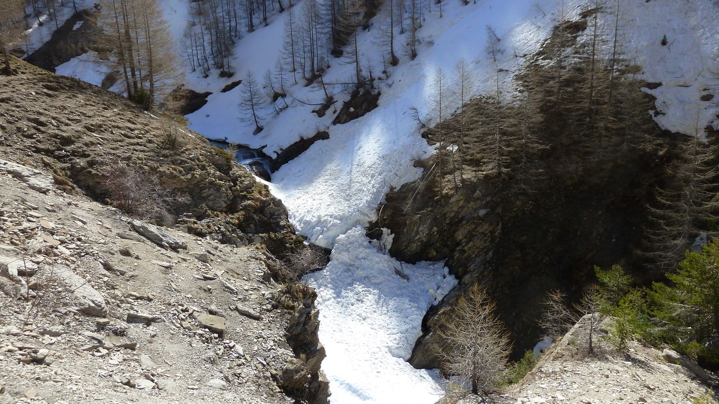 P1050431.JPG