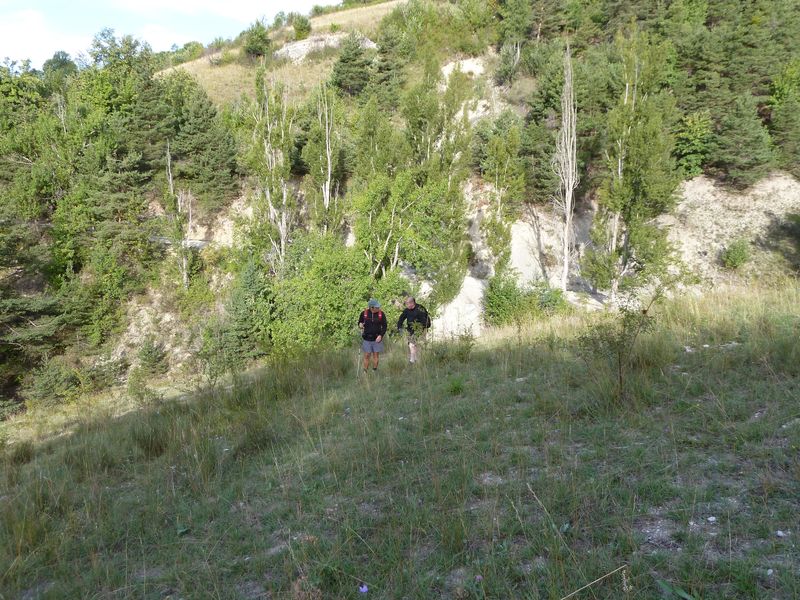 cheinet_2011_005.jpg