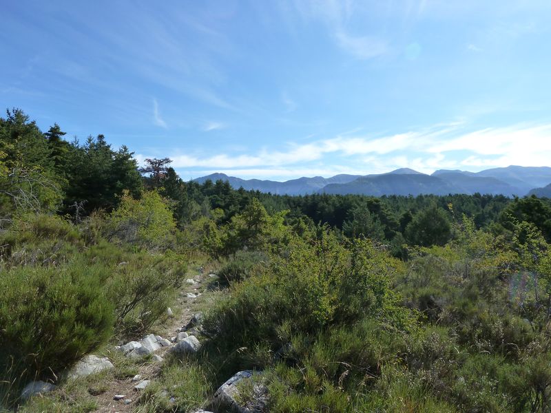 cheinet_2011_073.jpg