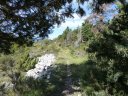 cheinet_2011_075.jpg
