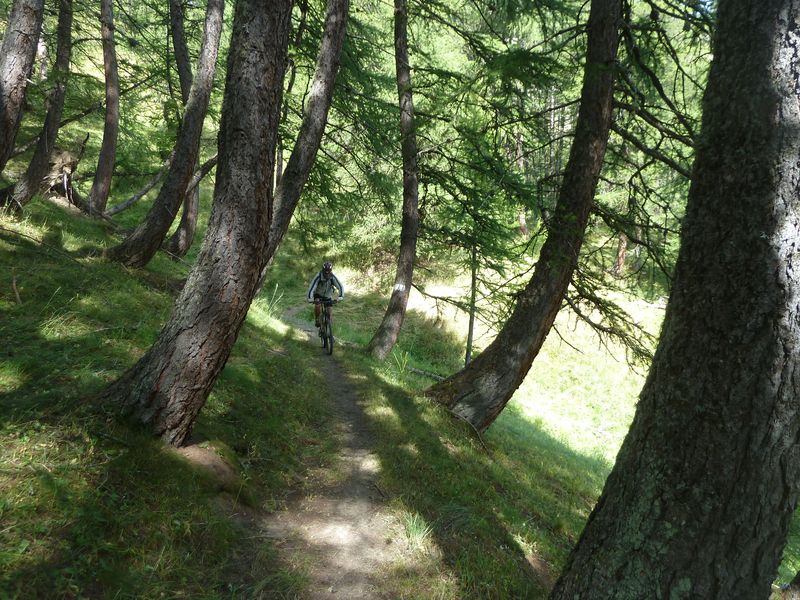 montagne_de_cheroueche_2011_082.jpg